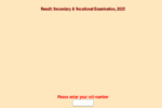 RBSE 10th Result 2025 OUT Live: Here’s link to check Rajasthan Board Class 10th results on official website, HT Portal