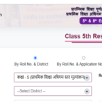 RBSE 5th Result 2025 out Live: Rajasthan Board Result For Class 5 Announced, Pass Percentage Improves
